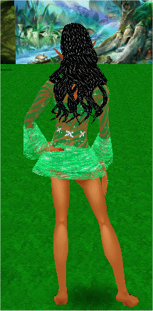  photo green lace mini back.gif