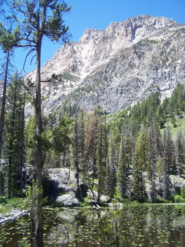 Lilly pond,Sawtooth,Idaho,Red Fish Lake