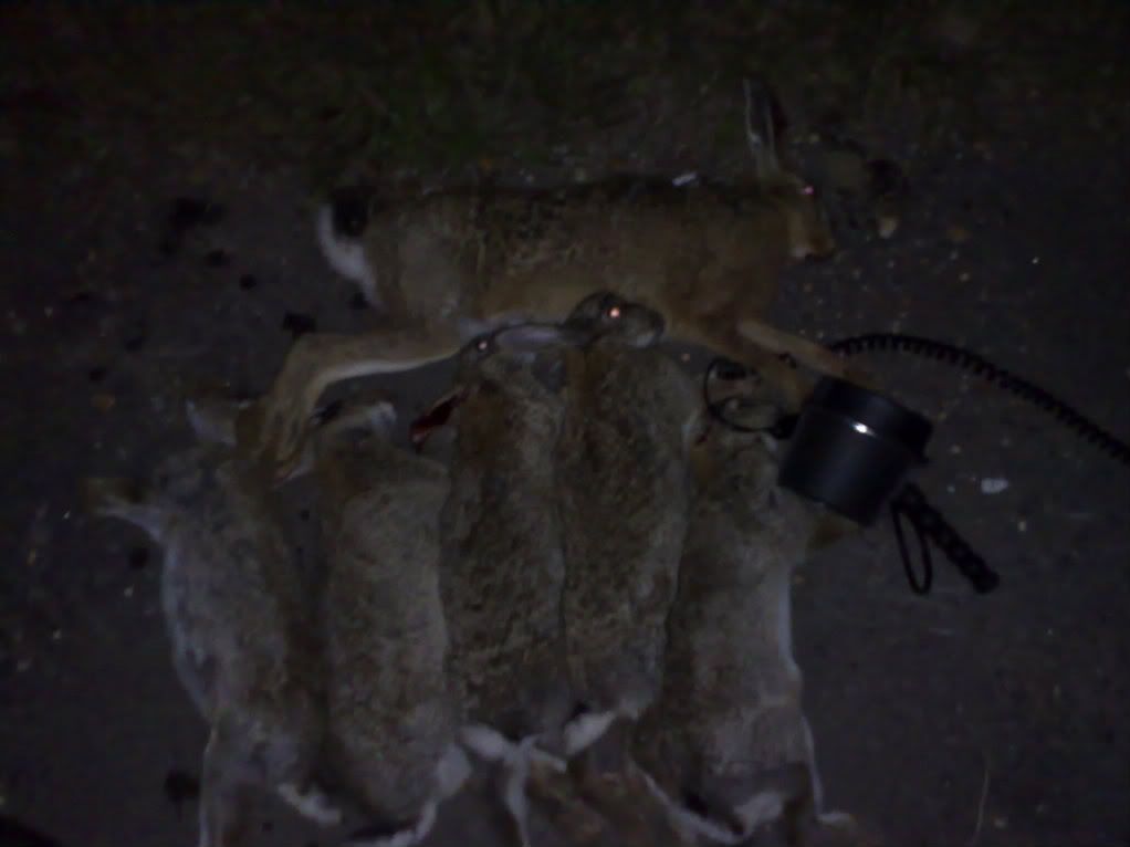 08052009218.jpg