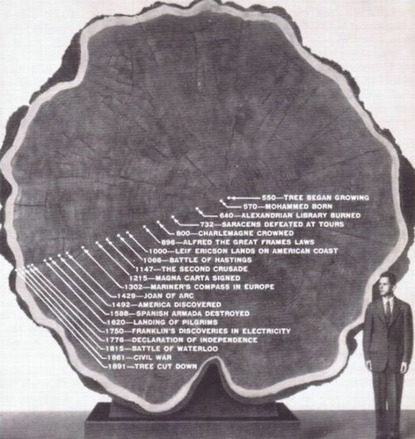 Аксакал 80го уровня картинки, Россия, блог, общество