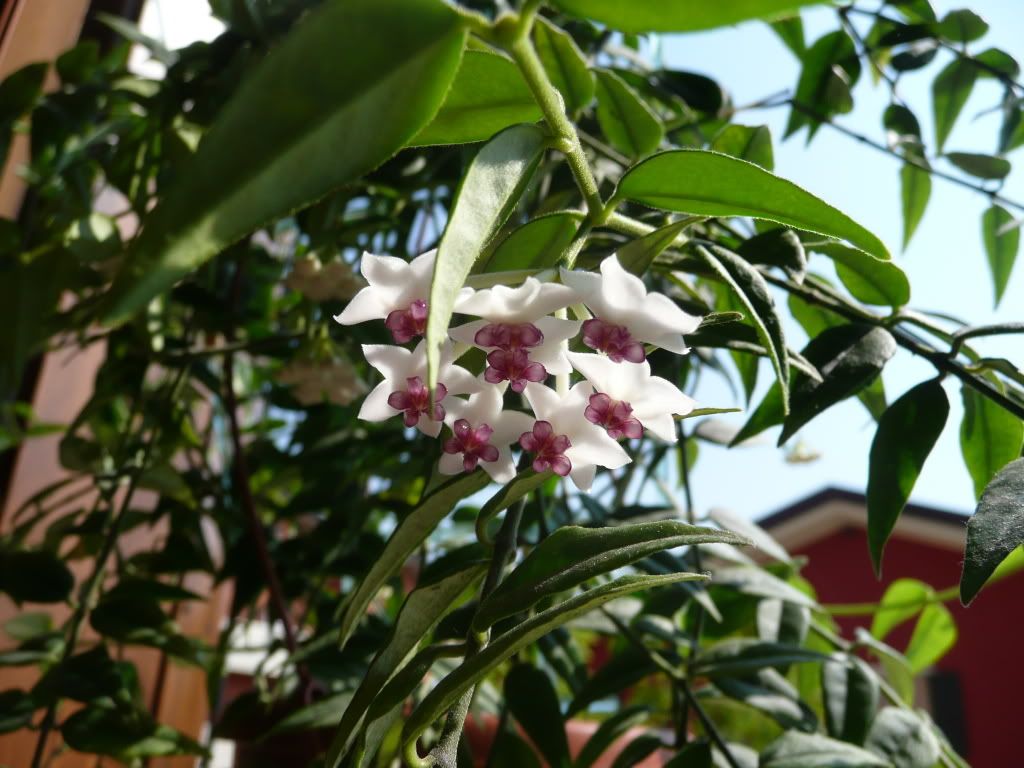 P1020121.jpg