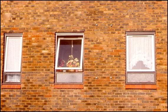 finestre-londinesi