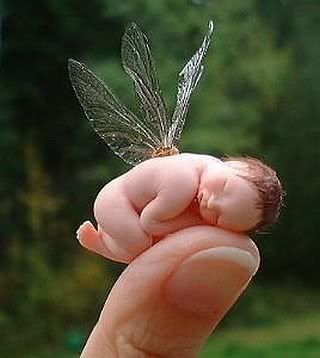 baby thumb fairy