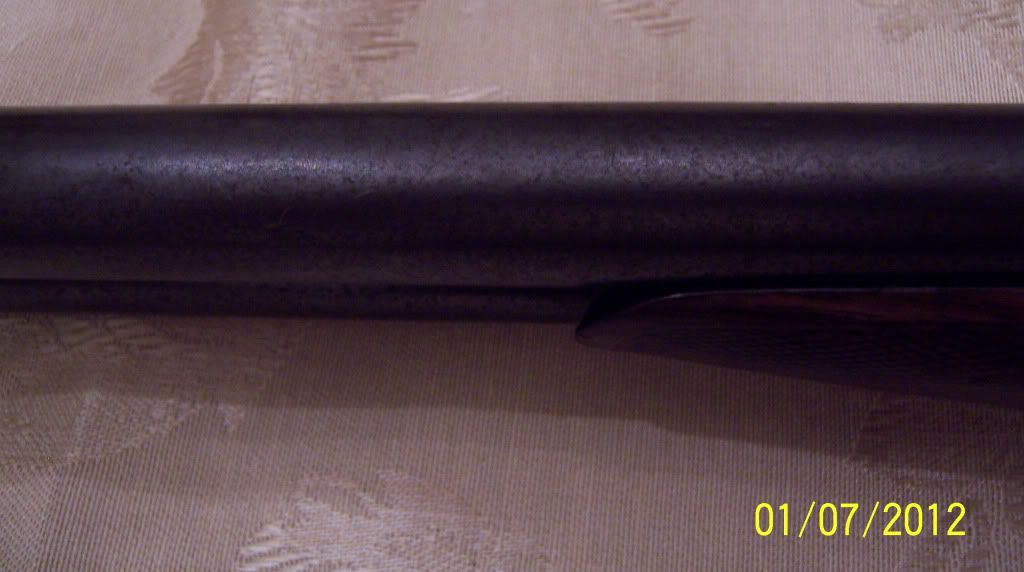 FOXCEGRADE12-GAUGE004.jpg