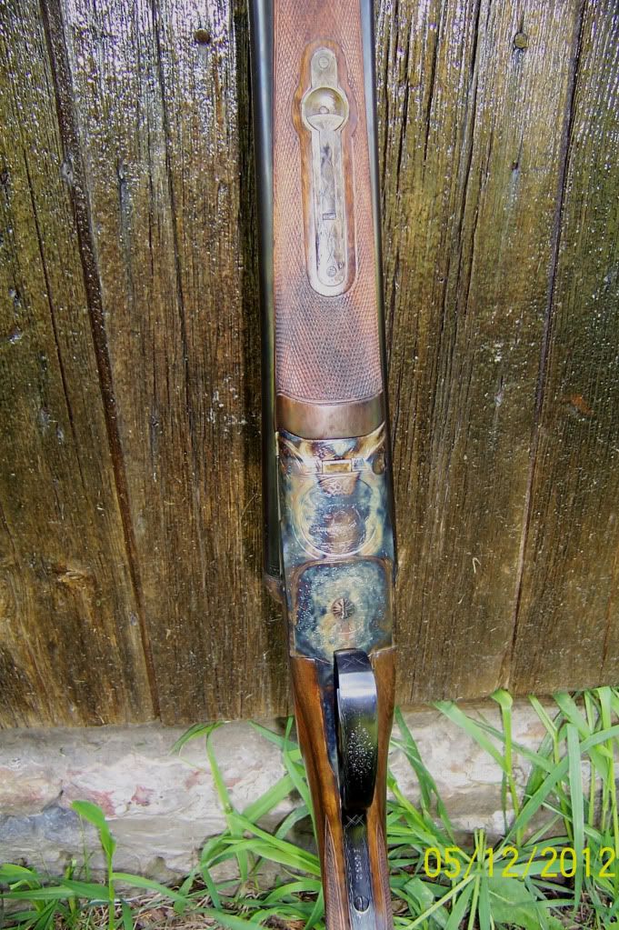 FOXCEGRADE12-GAUGE019.jpg